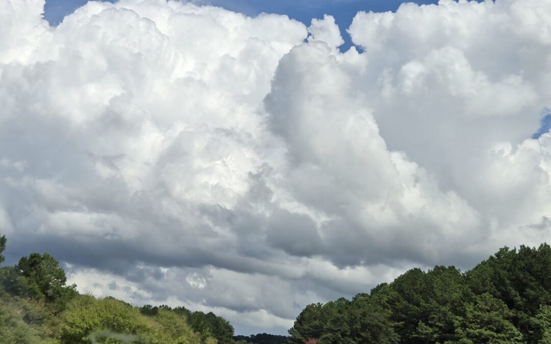 Seeing Over the Hill: Why “Just Learn AI” Doesn’t Work for Organizational AI Adoption